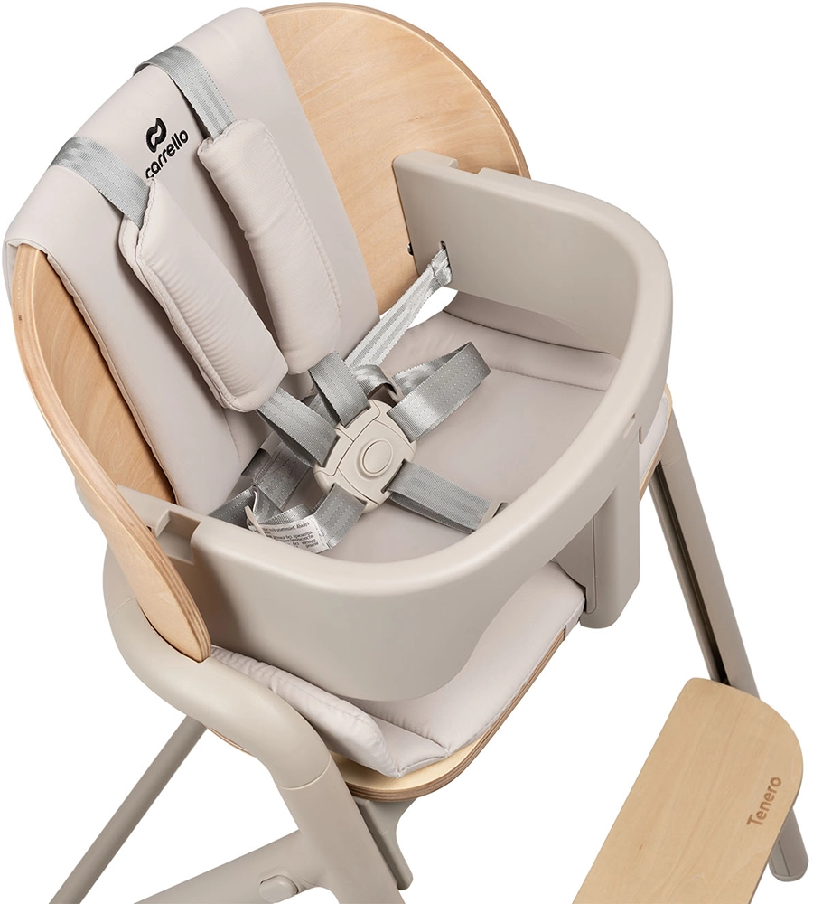 Шезлонг і стільчик-трансформер Carrello Tenero CRL-9507 Elysium Green