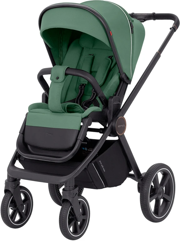 Детская коляска 2 в 1 Carrello Ultimo CRL-6518 Fern Green