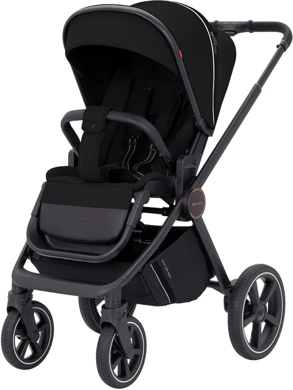 Коляска дитяча 2 в 1 Carrello Ultimo CRL-6518 Sable Black 