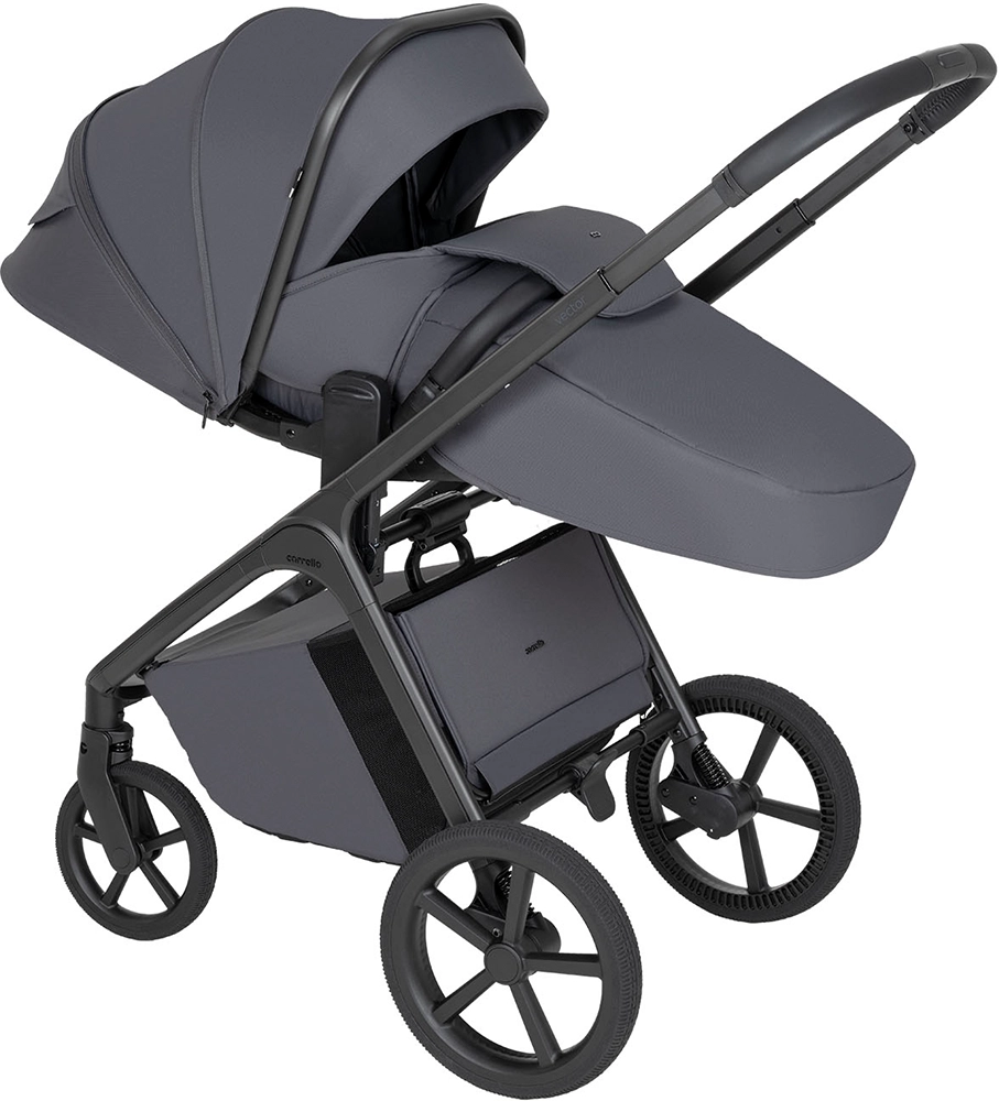 Коляска 2 в 1 CARRELLO Vector CRL-6700 Ample Grey