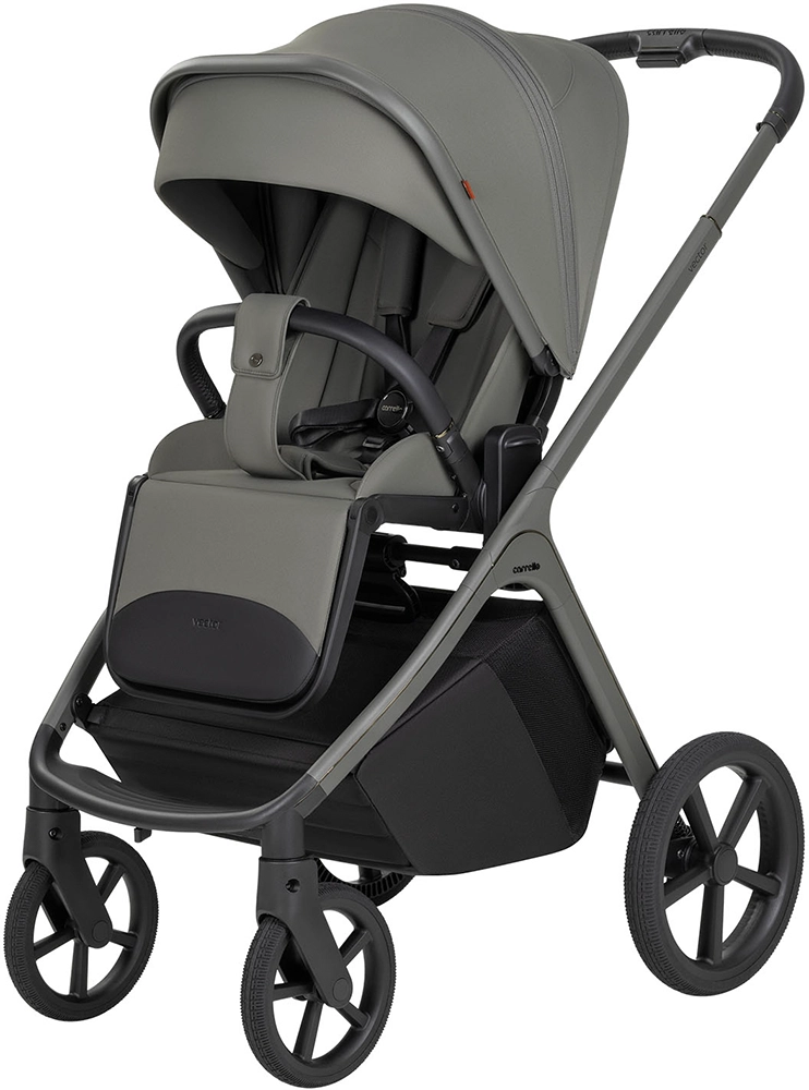 Коляска 2 в 1 CARRELLO Vector CRL-6700 Calm Green
