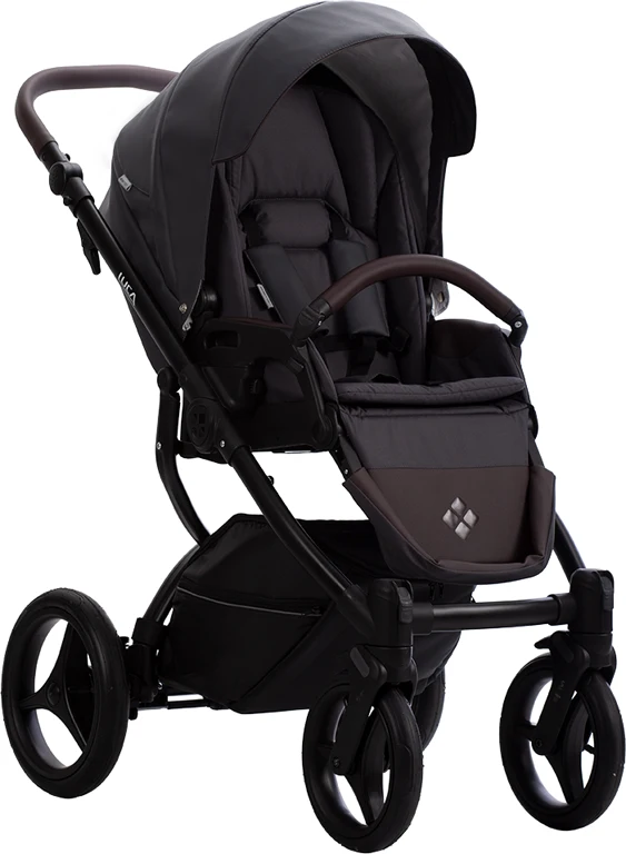 Детская коляска 2 в 1 Bebetto Luca Pro (33) графит