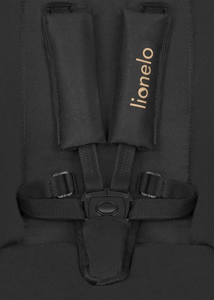 Дитячий візочок 3 в 1 Lionelo Amber BLACK ONYX
