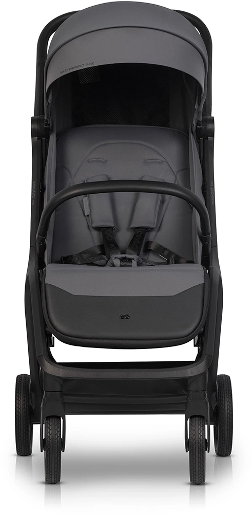 Прогулочная коляска EasyGo Trix Cloudy Gray
