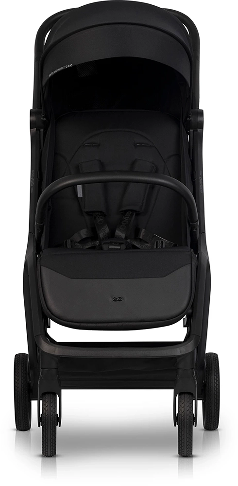 Прогулочная коляска EasyGo Trix Ebony Black