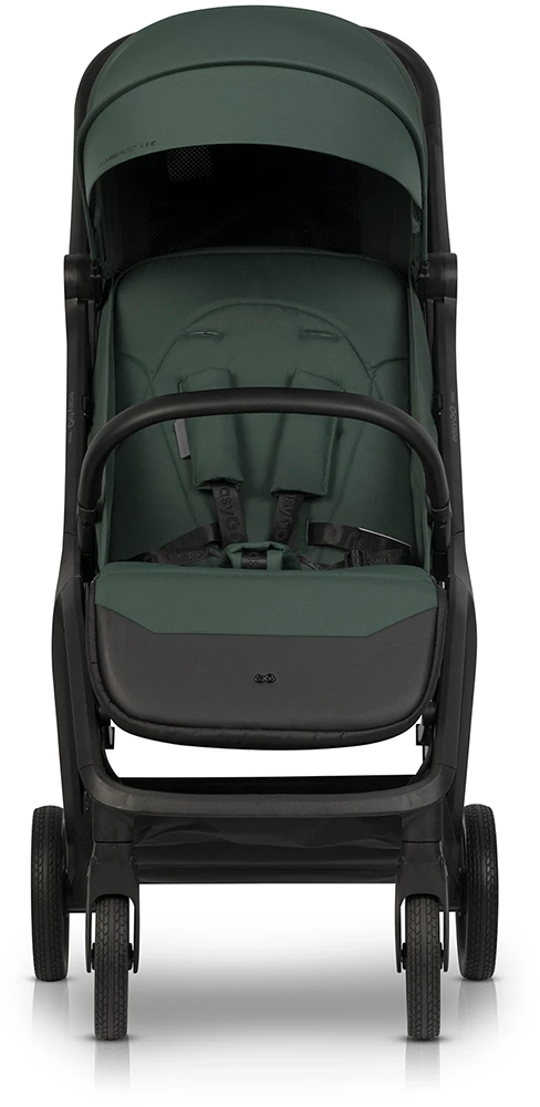 Прогулочная коляска EasyGo Trix Sage Green