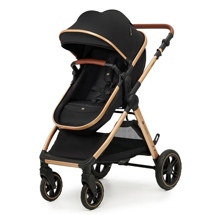 Коляска 2 в 1 Kinderkraft Esme Black