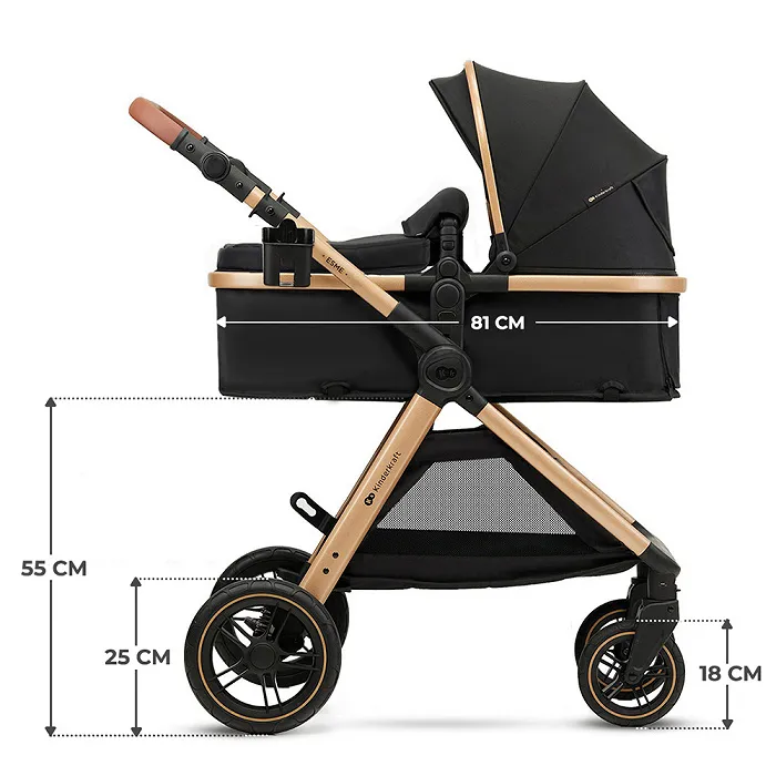 Коляска 2 в 1 Kinderkraft Esme Black