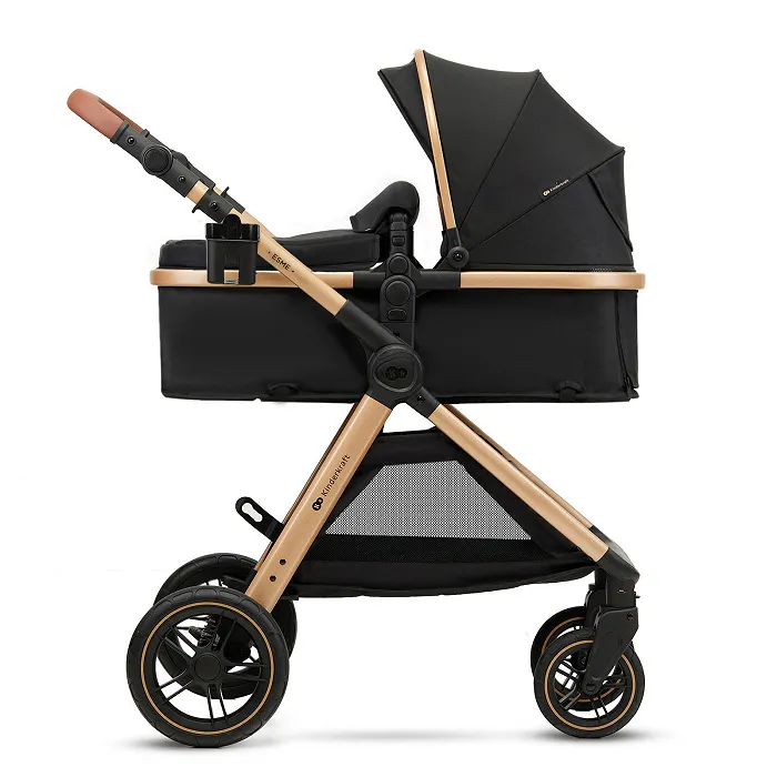 Коляска 2 в 1 Kinderkraft Esme Black