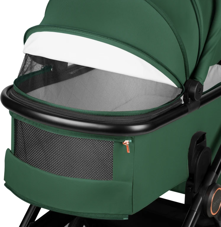 Коляска 2 в 1 Lionelo Layla Green Forest