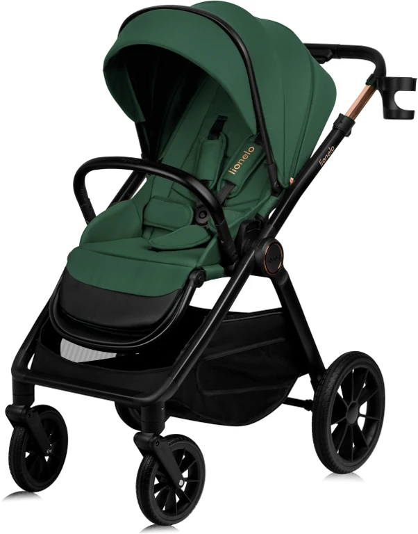 Коляска 2 в 1 Lionelo Layla Green Forest