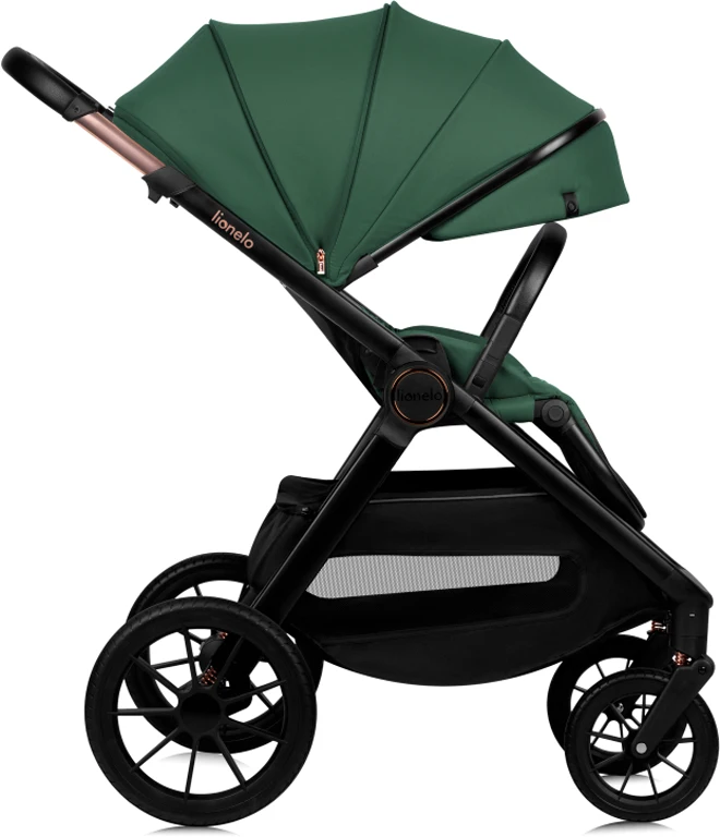 Коляска 2 в 1 Lionelo Layla Green Forest