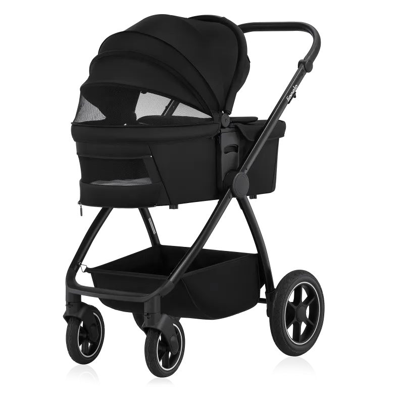 Коляска 2 в 1 Lionelo Meril Black Onyx
