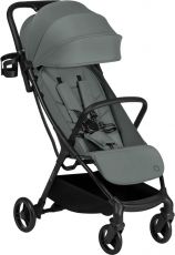 Коляска Lionelo Agia Green Sage