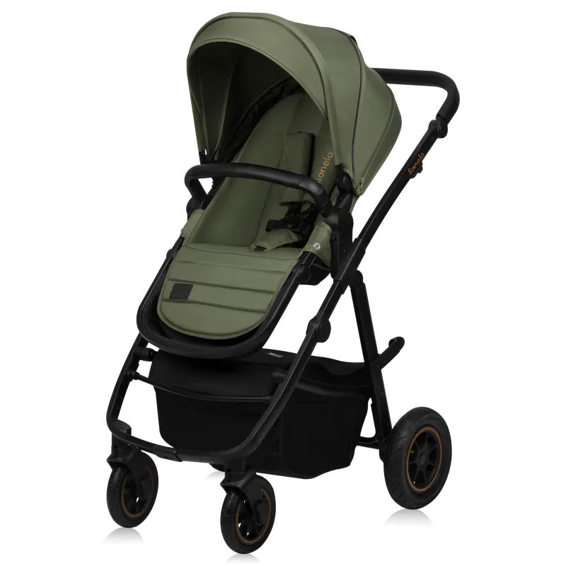 Коляска 2 в 1 Lionelo Amber Plus Green Forest