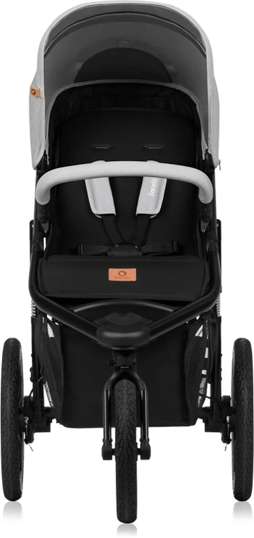 Прогулянкова коляска Lionelo Azura Grey Stone
