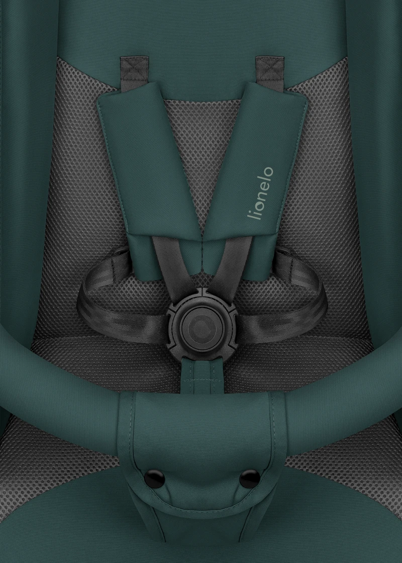 Коляска - тростина Lionelo Elia Green Graphite