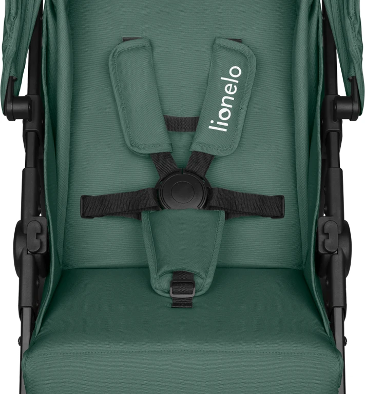 Коляска Lionelo Emma One Green Forest