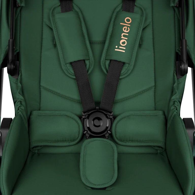 Коляска 3 в 1 Lionelo Layla Green Forest
