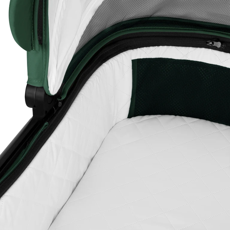 Коляска 3 в 1 Lionelo Layla Green Forest