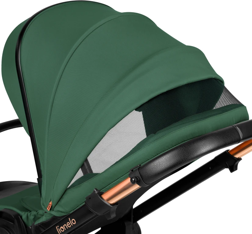Коляска 3 в 1 Lionelo Layla Green Forest