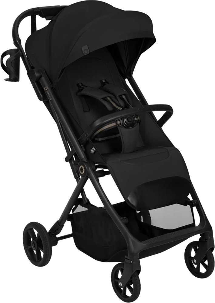 Детская коляска Lionelo Tansi Black Onyx