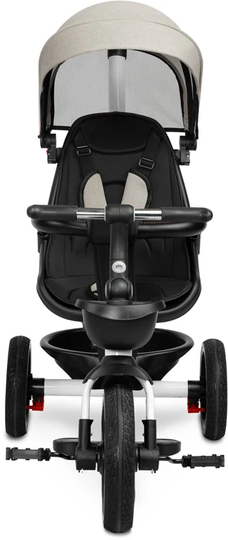Дитячий триколісний велосипед Toyz Dash Grey